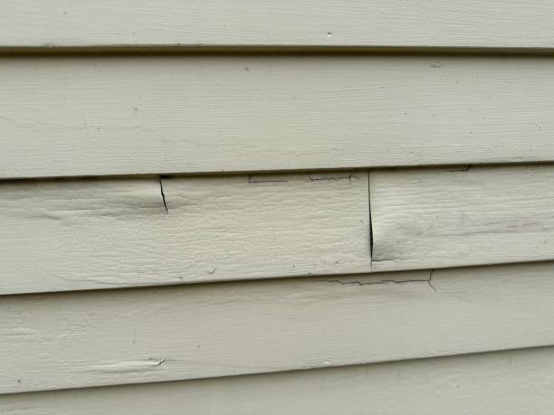 Best Insulated Siding Installation  in New Vienna, OH